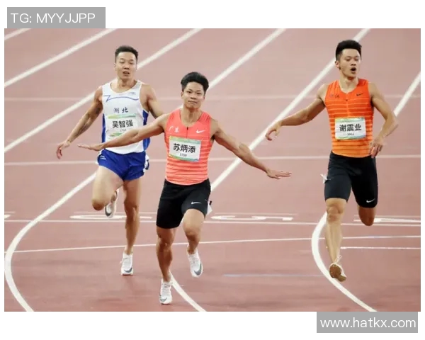 深圳乒乓球队在全国耐力排行榜中荣获第八名的骄人成绩